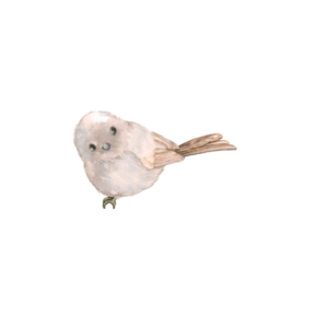 Kleiner Vogel, Symbol für Veränderung